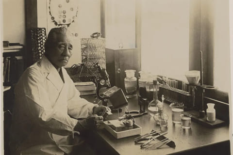 20._mikimoto-mercat-del-diamant-andorra