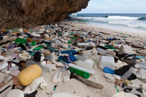 Breitling y Ocean Conservancy.