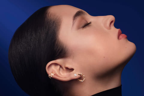 bee-de-chaumet-maison-roca-andorra